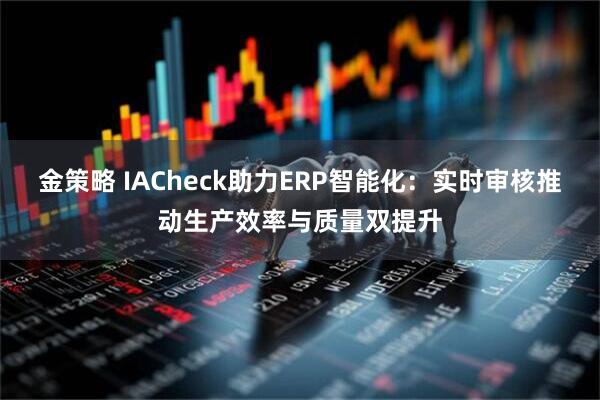 金策略 IACheck助力ERP智能化：实时审核推动生产效率与质量双提升