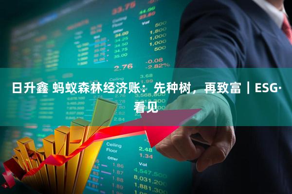 日升鑫 蚂蚁森林经济账：先种树，再致富｜ESG·看见