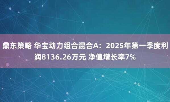 鼎东策略 华宝动力组合混合A：2025年第一季度利润8136.26万元 净值增长率7%